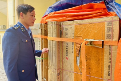 Vĩnh Phúc xử phạt Công ty Phúc Đạt CERAMIC do kinh doanh gạch men nhập lậu 